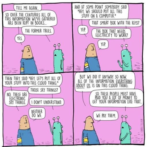 Hawk Wolf tweet media