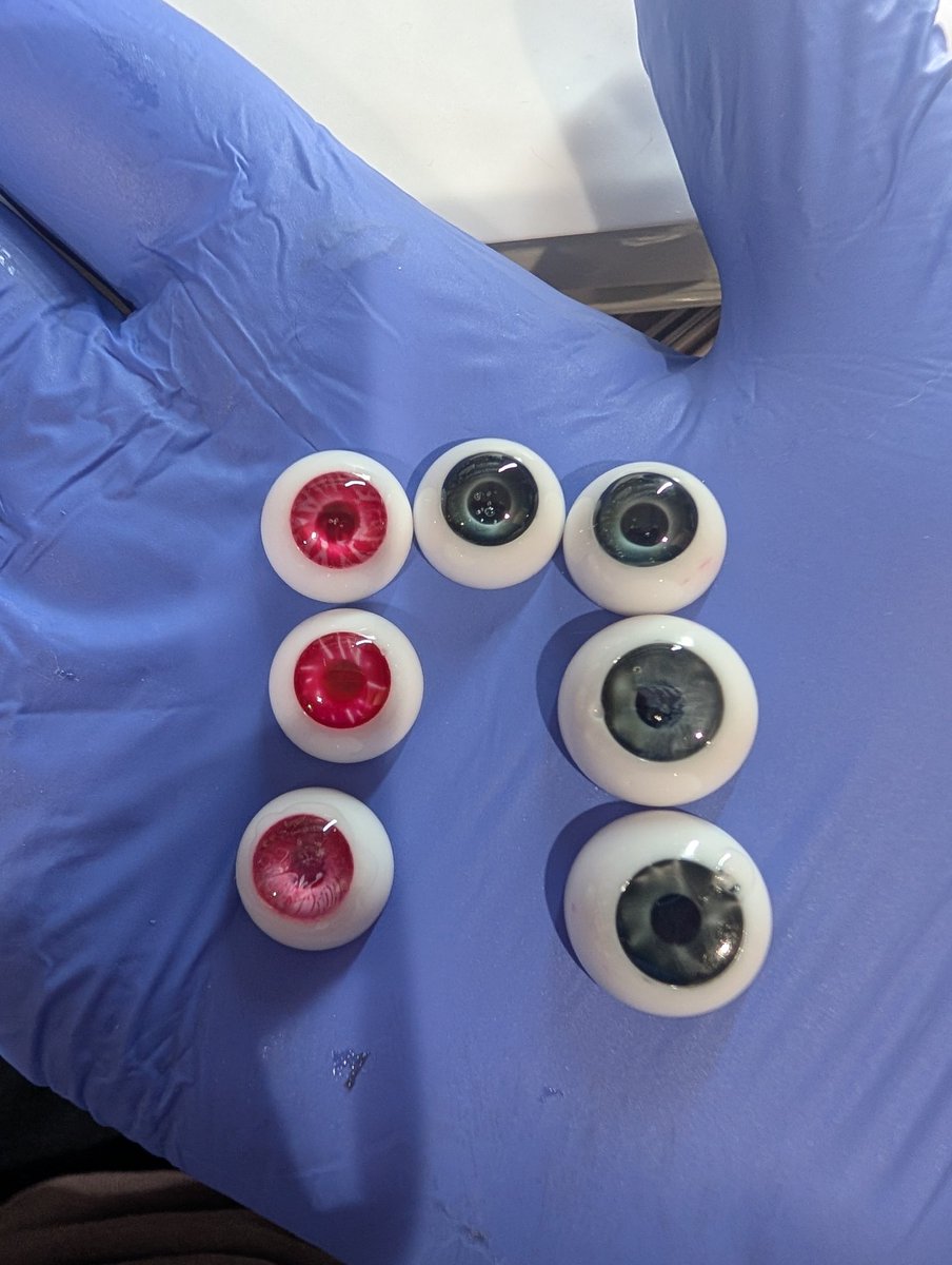 meguoru(メグオル) tweet media