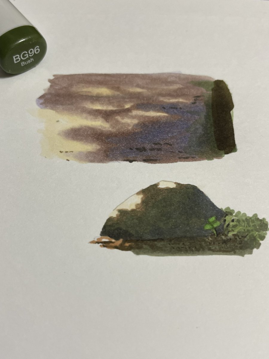 白玉派 tweet media