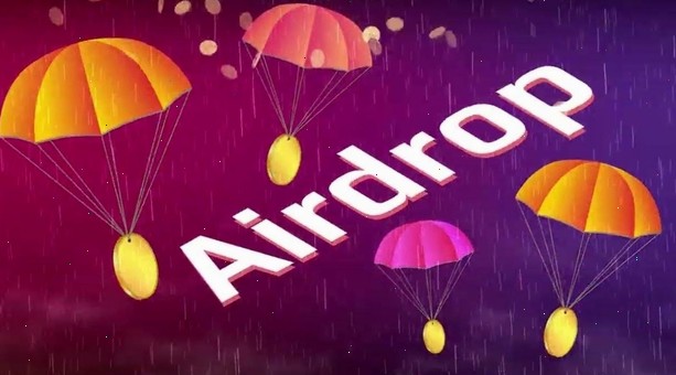 Edward Vignone tweet media