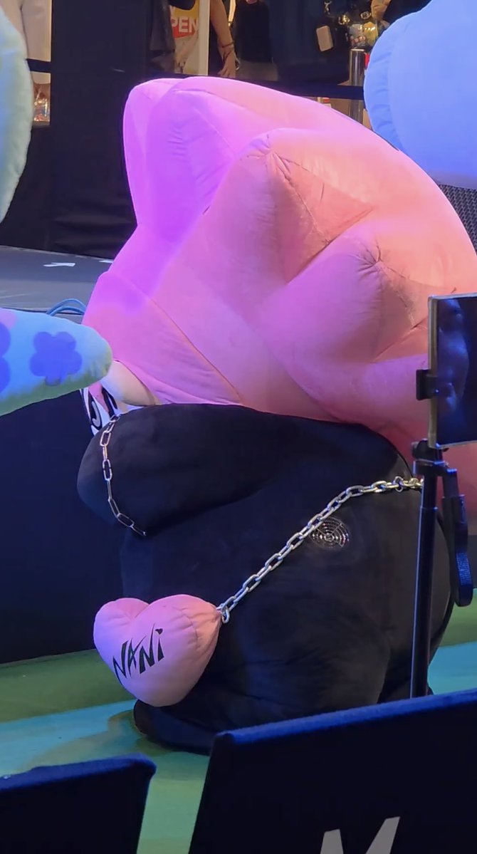 Sunset 🐶⛅️ tweet media