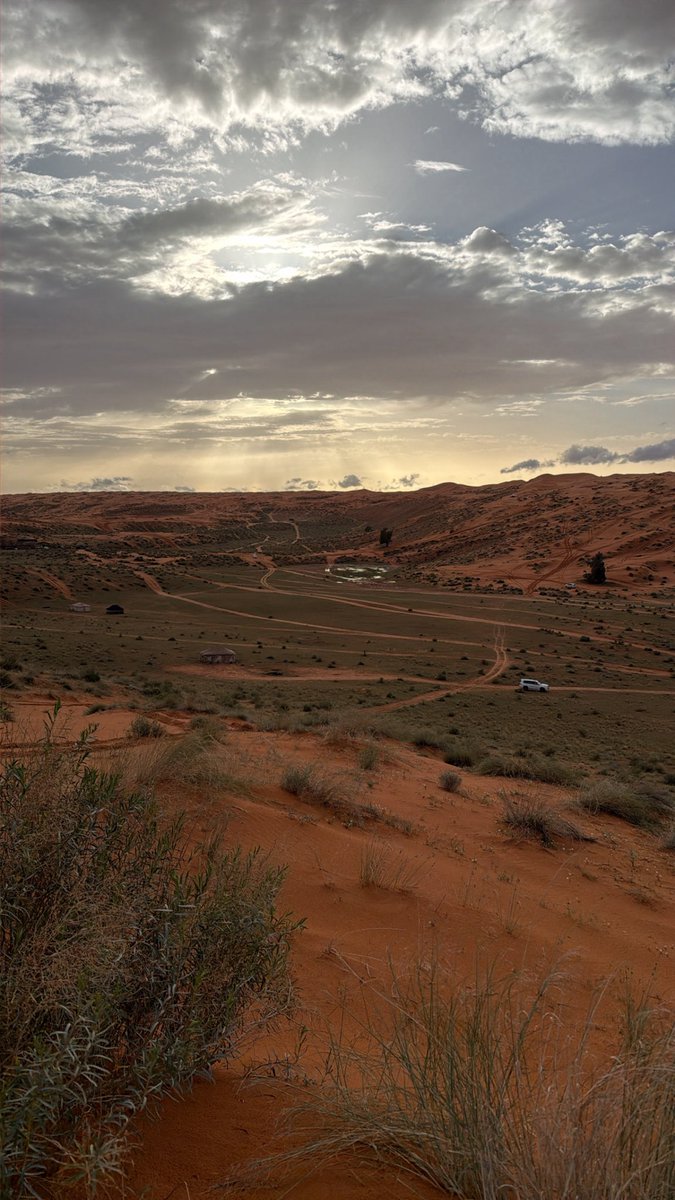 JoHaN | يوهان tweet media