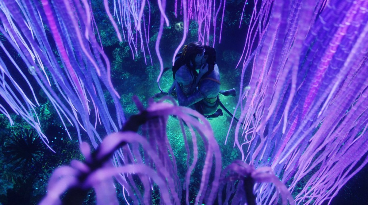 WriterInWhite tweet media