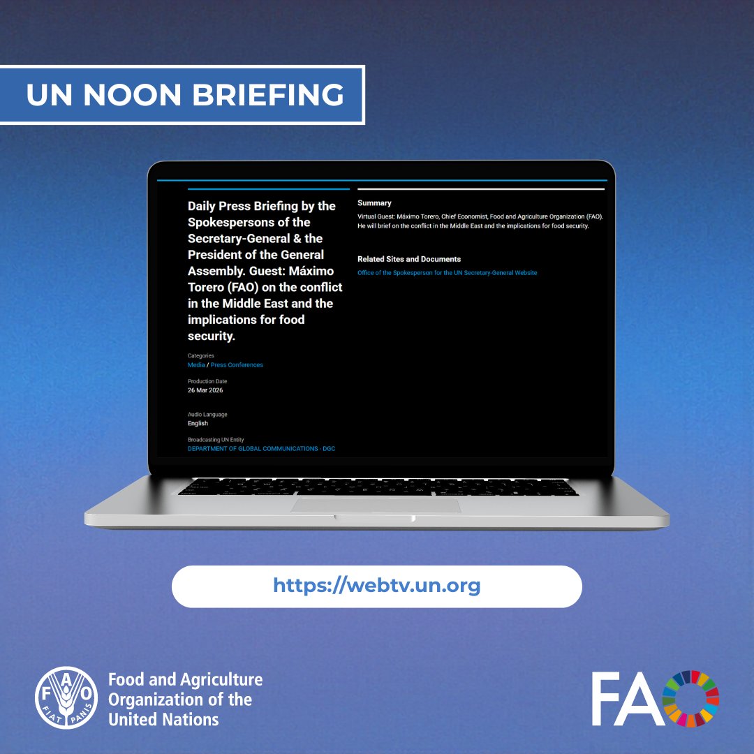 FAO in New York tweet media