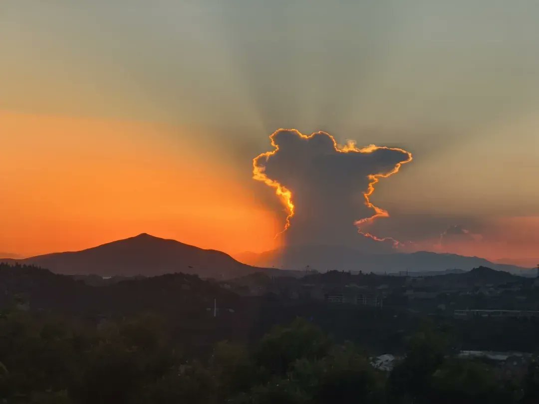 Samoon Ahmed Khan tweet media