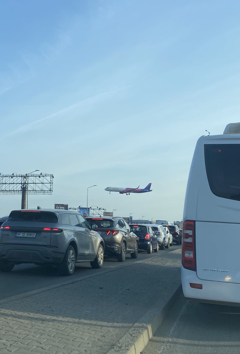 Musca tzetze tweet media