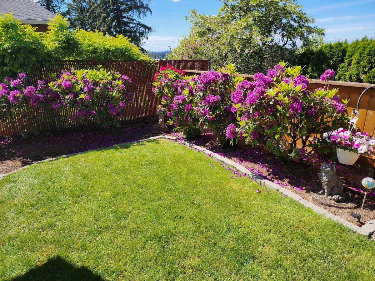 JB (@Minerva2BC@mastodon.world) tweet media