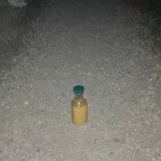 NIGHT HUNTER tweet media