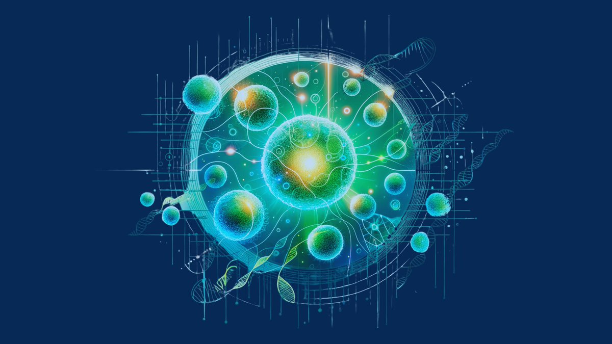 Dr Timos Papagatsias tweet media