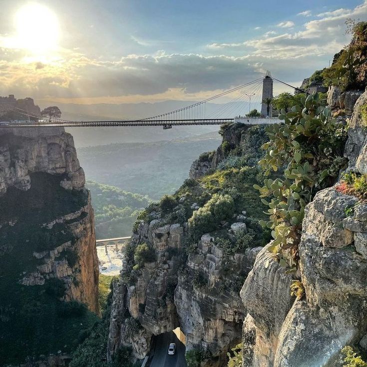 ذِ ♡ tweet media