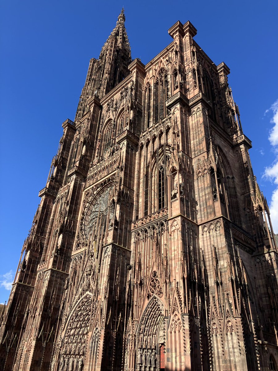 Samuel Goldschmidt tweet media