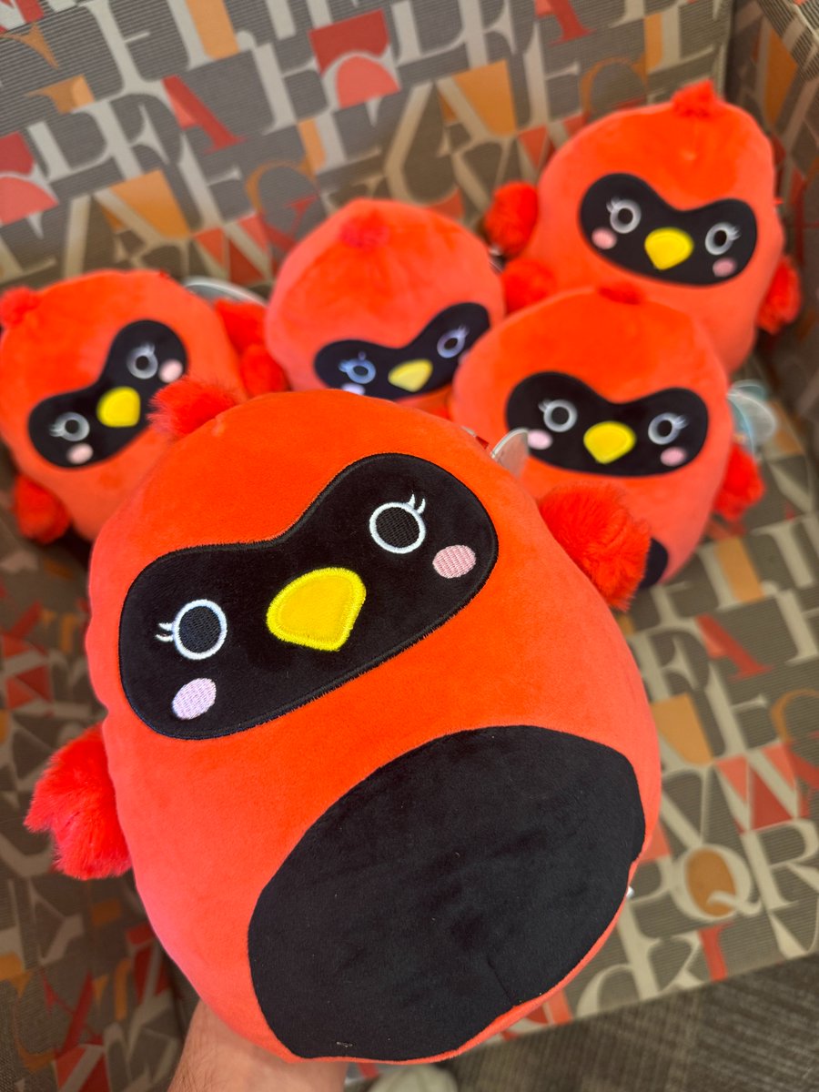 BallStateLibs's tweet photo. Don’t miss your chance to win one of these adorable Squishmallow cardinals at Anti-Procrastination Night! Just head to Bracken Library on Monday, March 30 from 7 to 9 PM, enjoy some refreshments, engage in focused productivity sessions, and get help with your projects. https://t.co/stGIWrGue1