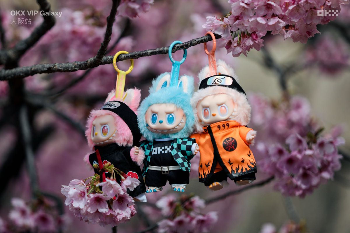 OKX中文 tweet media