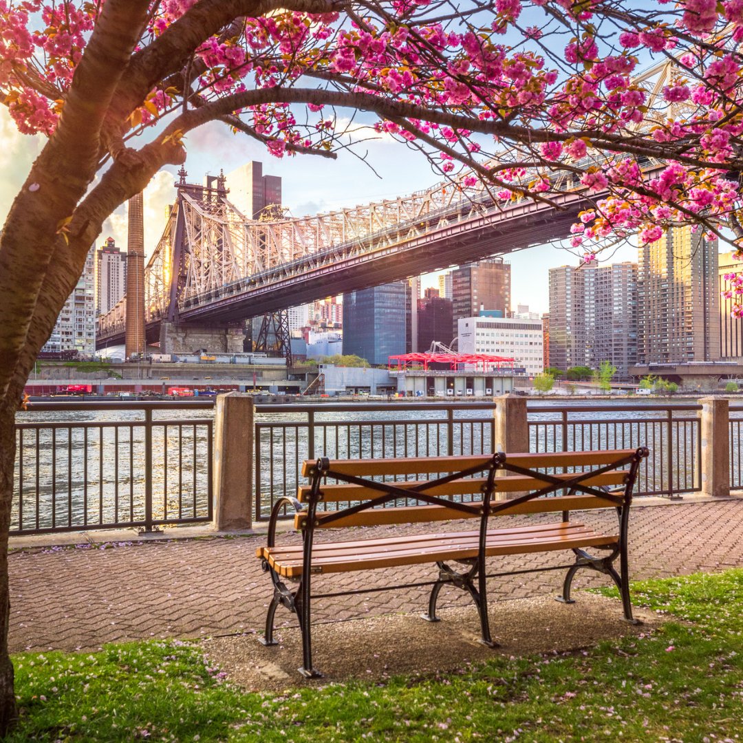 Peter Pan Bus Lines tweet media