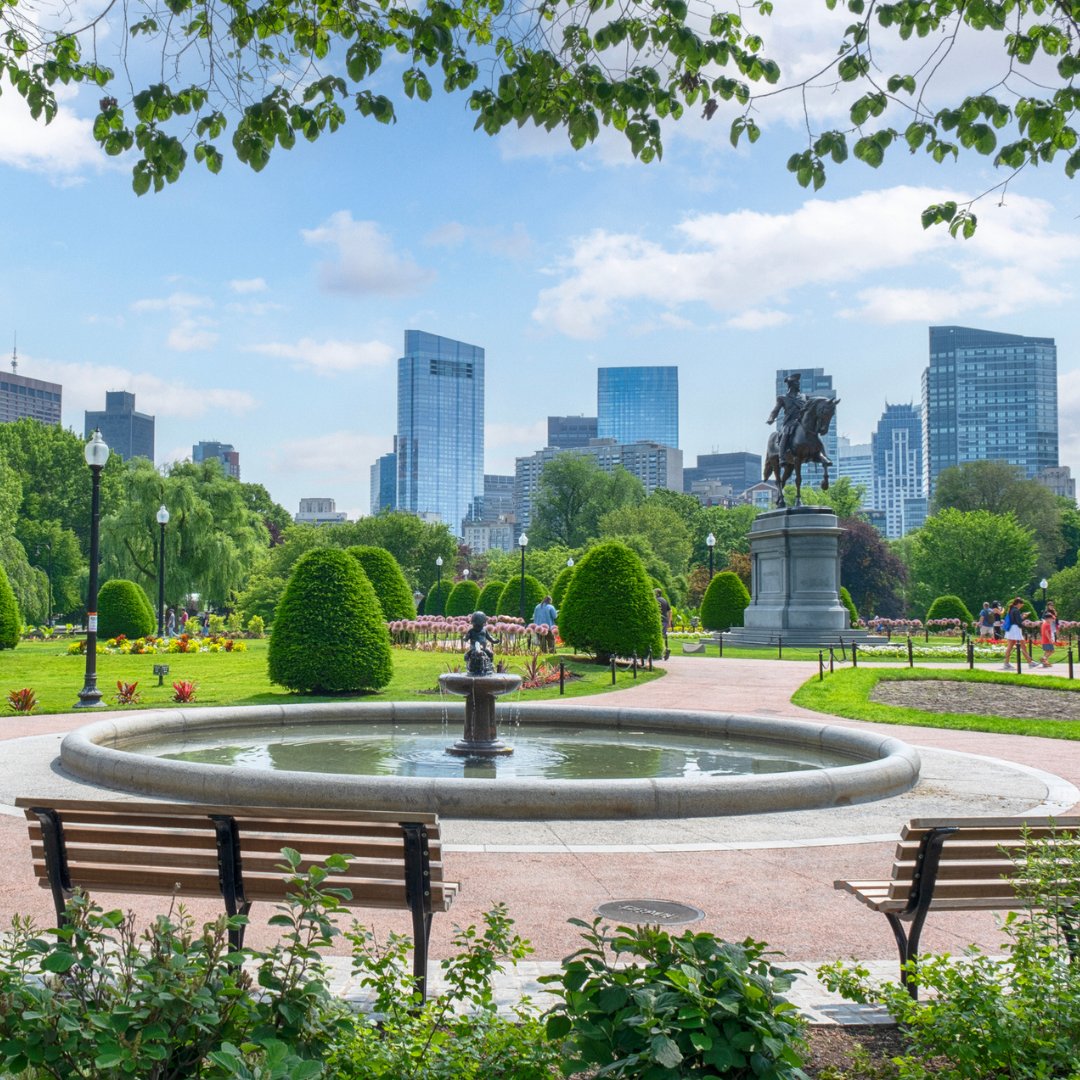 Peter Pan Bus Lines tweet media