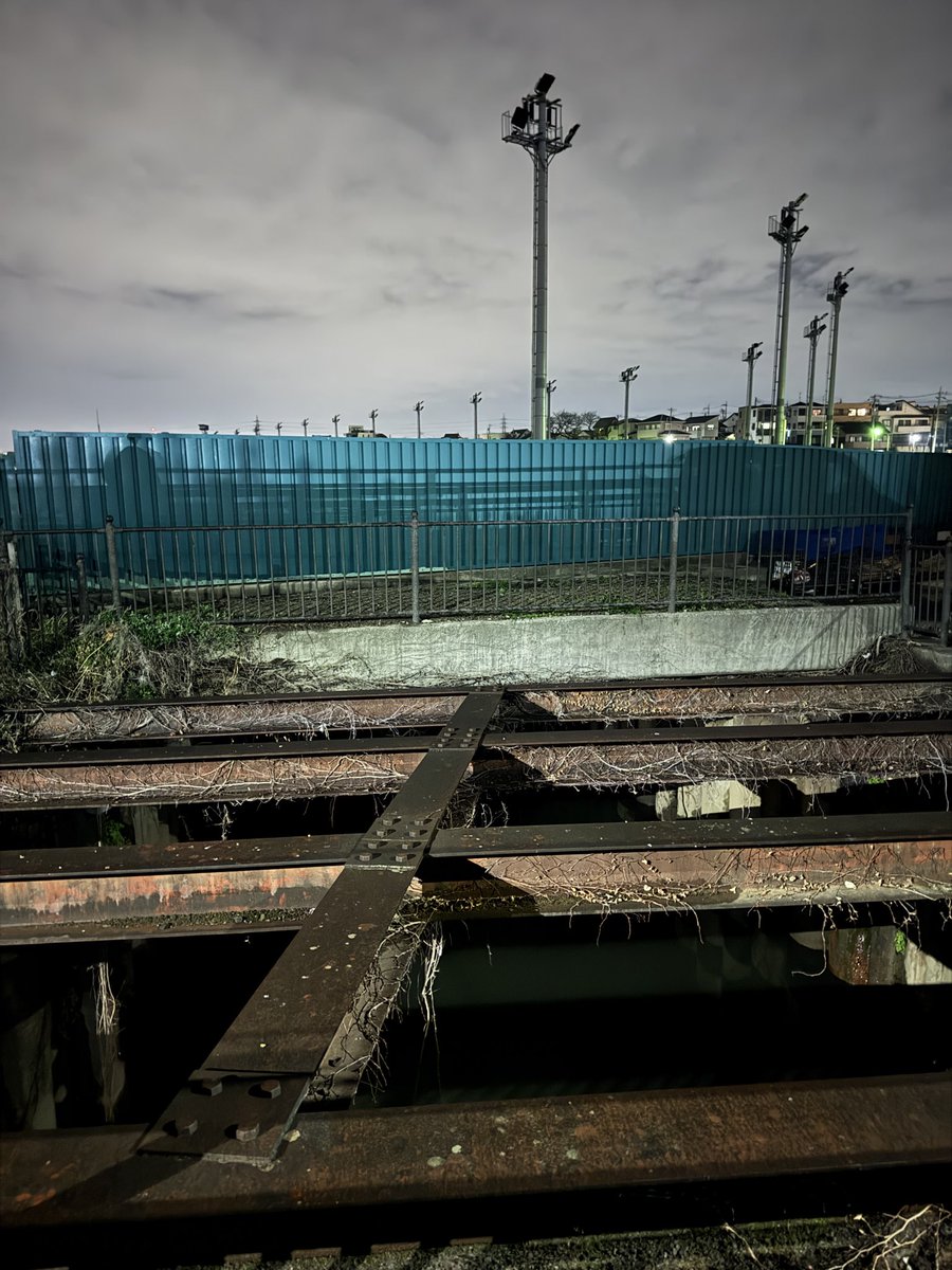 ナナコロビナオキ tweet media