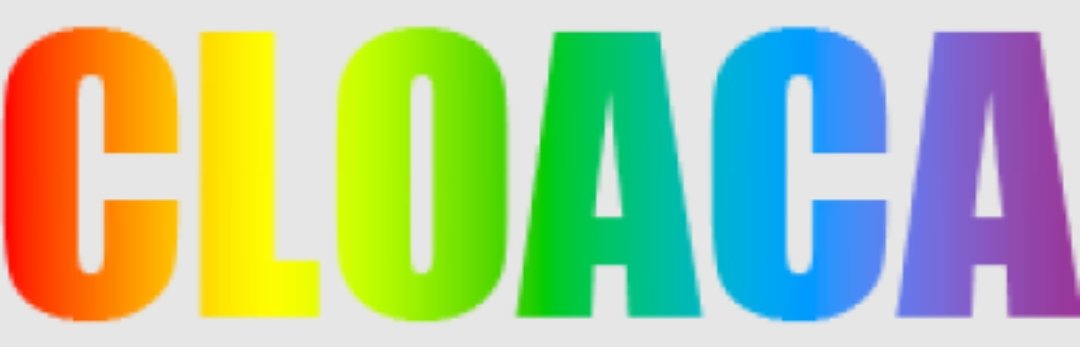 Tobyoshi 🪶💾 Tech Harpy tweet media