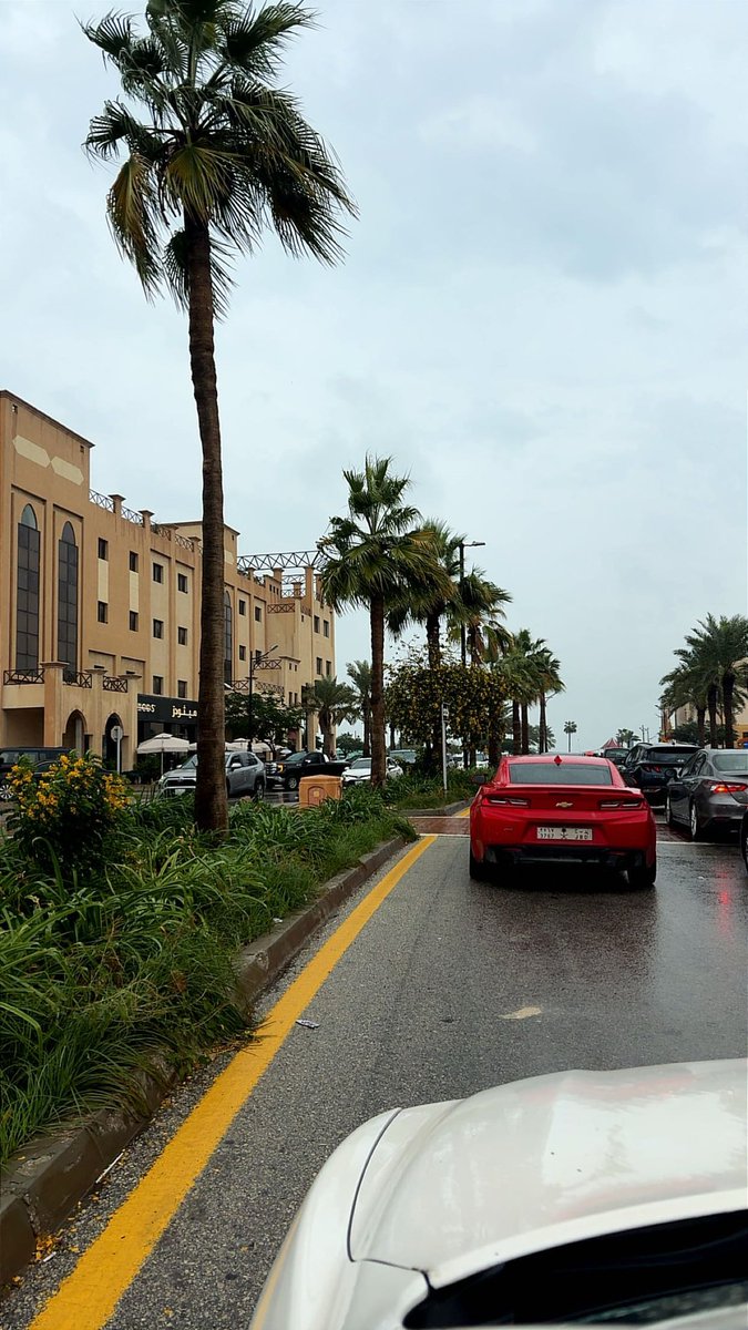 عبدالرحمن. tweet media