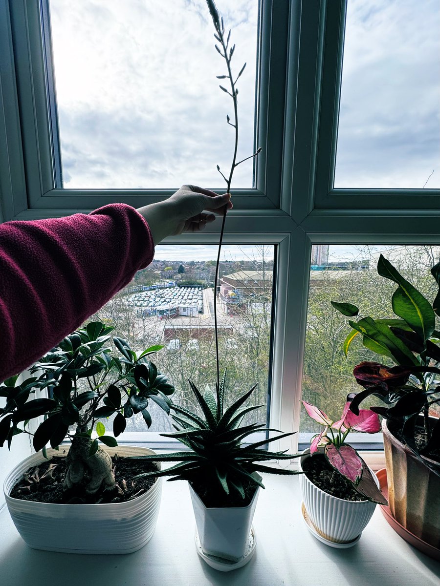 It’s Parry tweet media