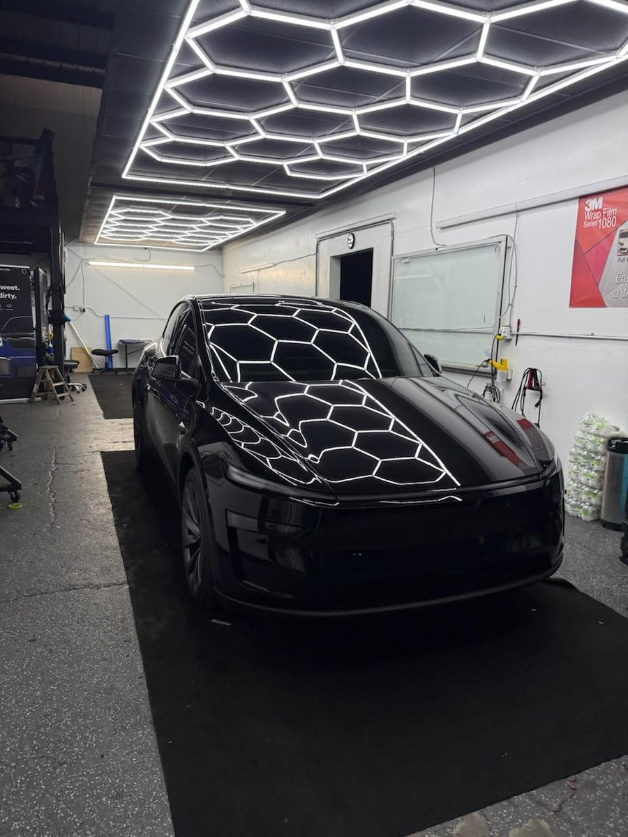 Benjamin, SJ- Patriot 🇺🇸 tweet media