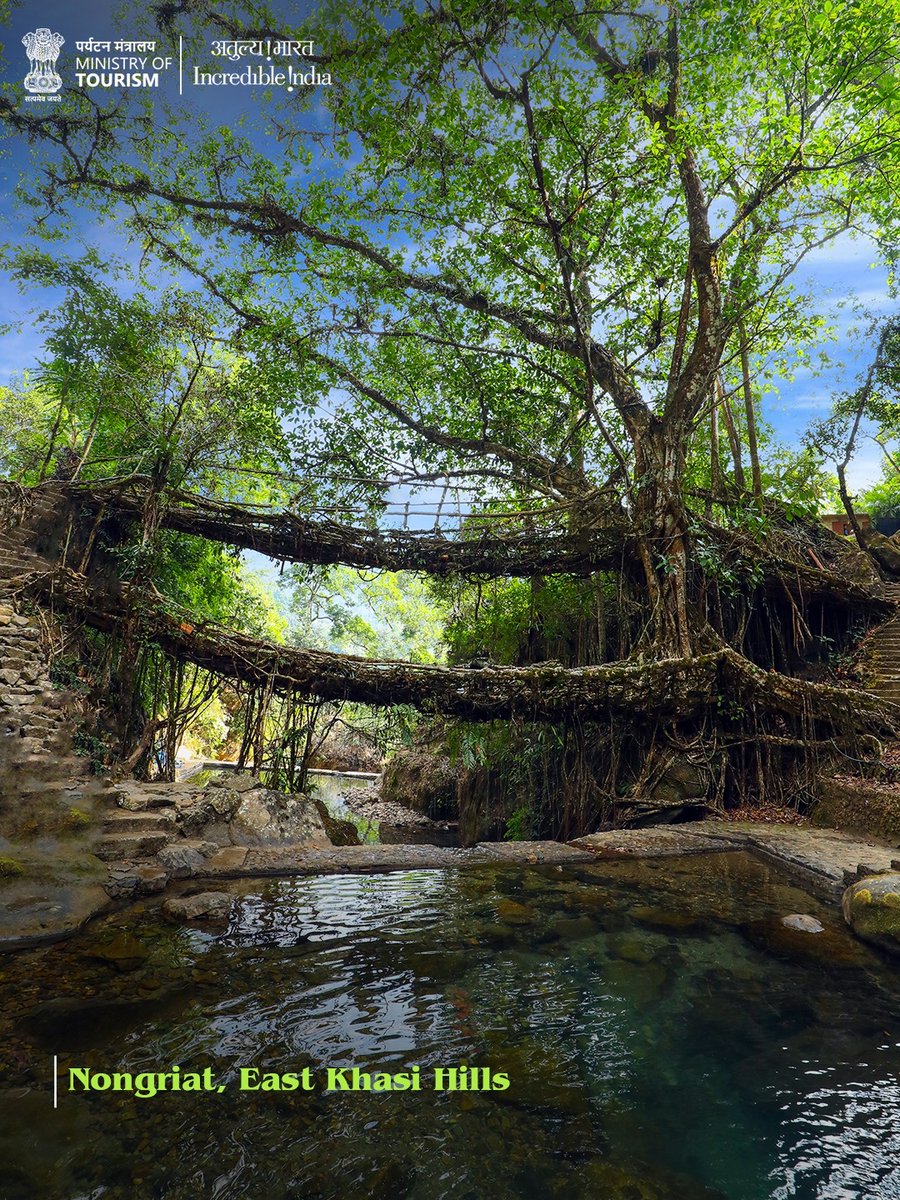 Incredible!ndia tweet media