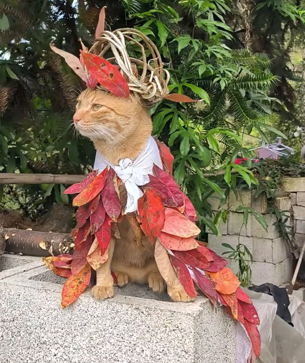 ᴇʟʟɪᴇᴛʜᴇᴡᴏʀʟᴅ💽 tweet media