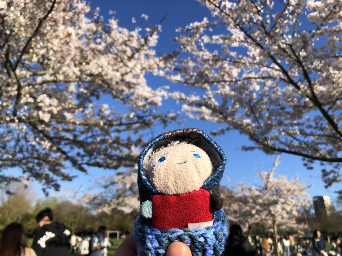 Alsace🐶 Nero puppy propaganda tweet media