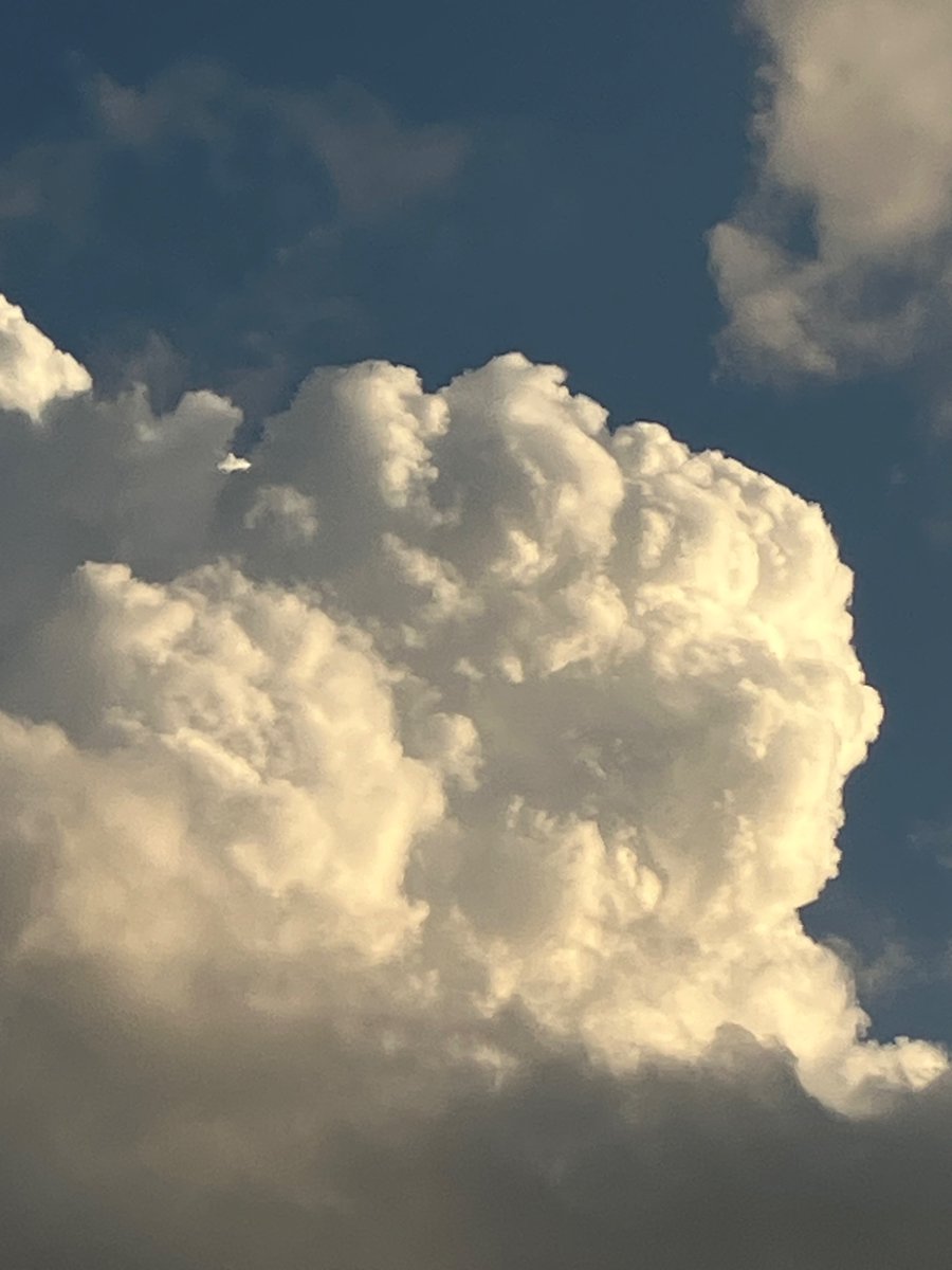 Brody Wx tweet media