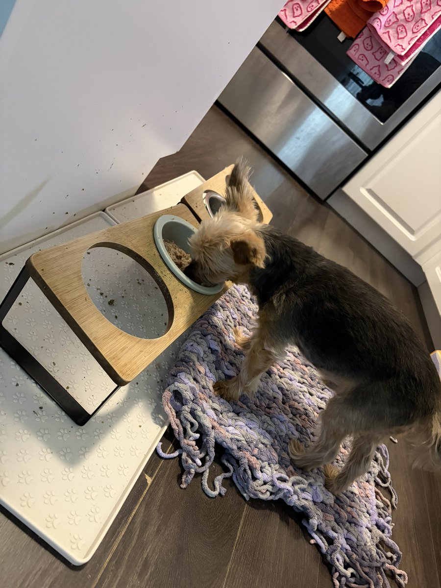 Sandra the Hag 𐕣 tweet media