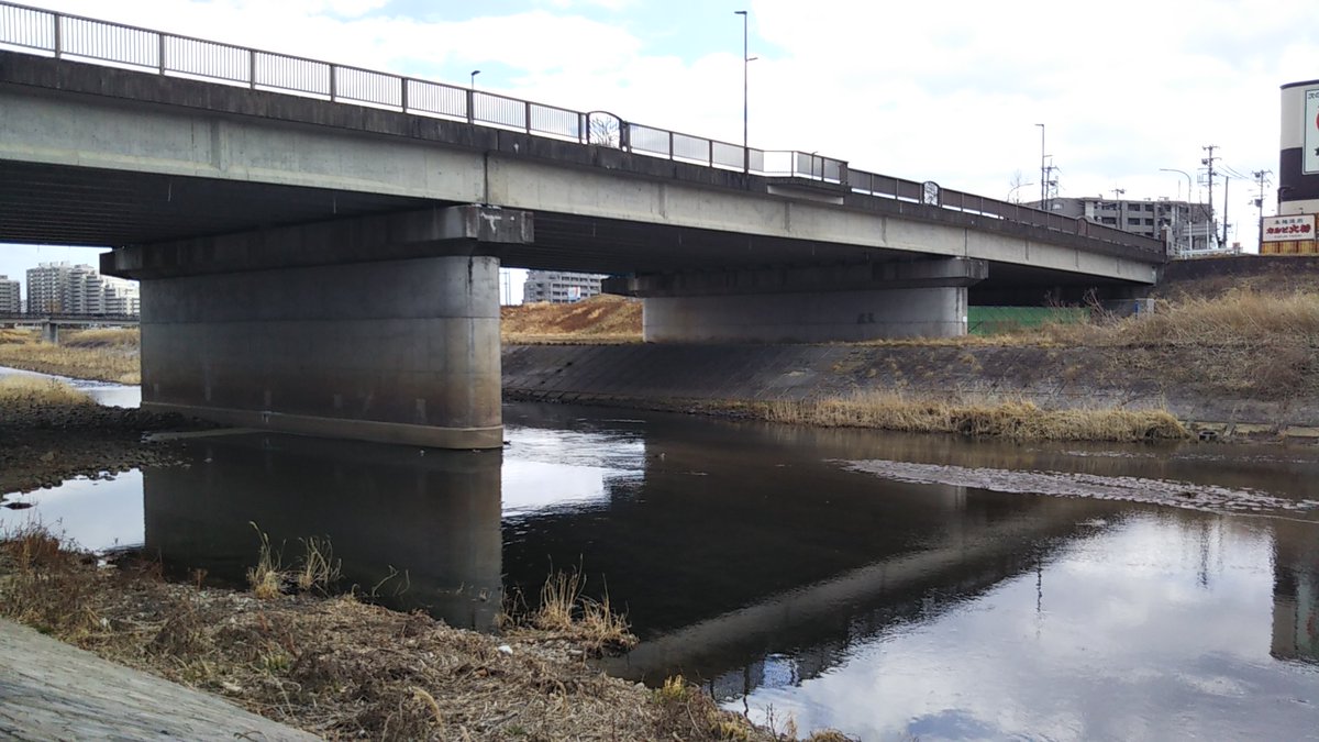 ねこまさむね tweet media