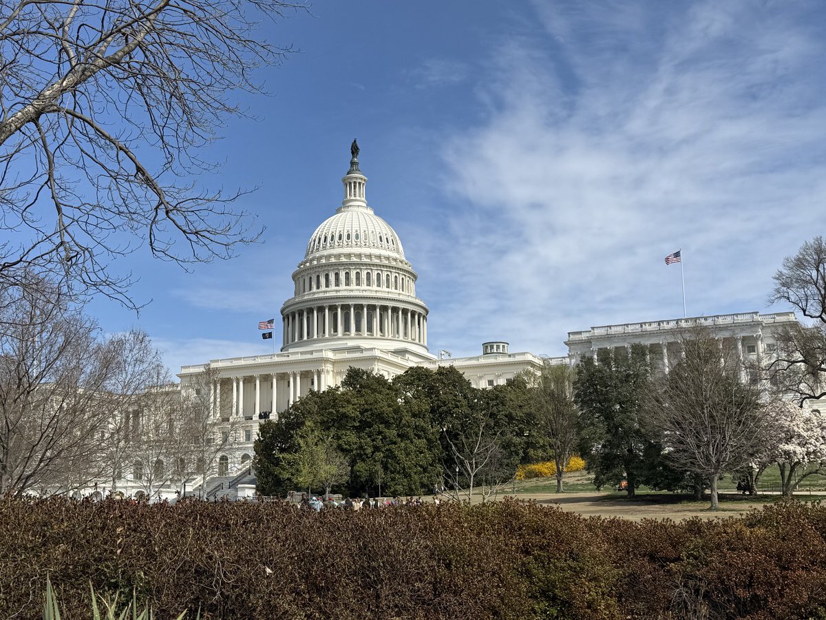 Mayor Dean J. Trantalis tweet media