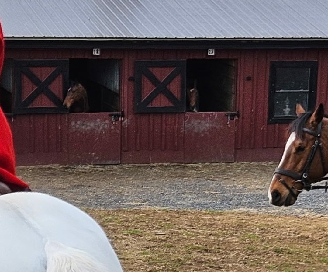 Lisa Molloy tweet media