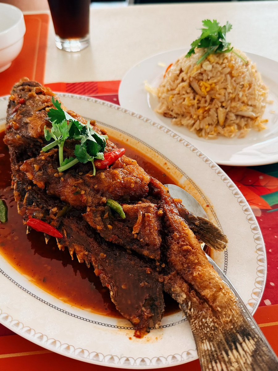 Auralis007 tweet media