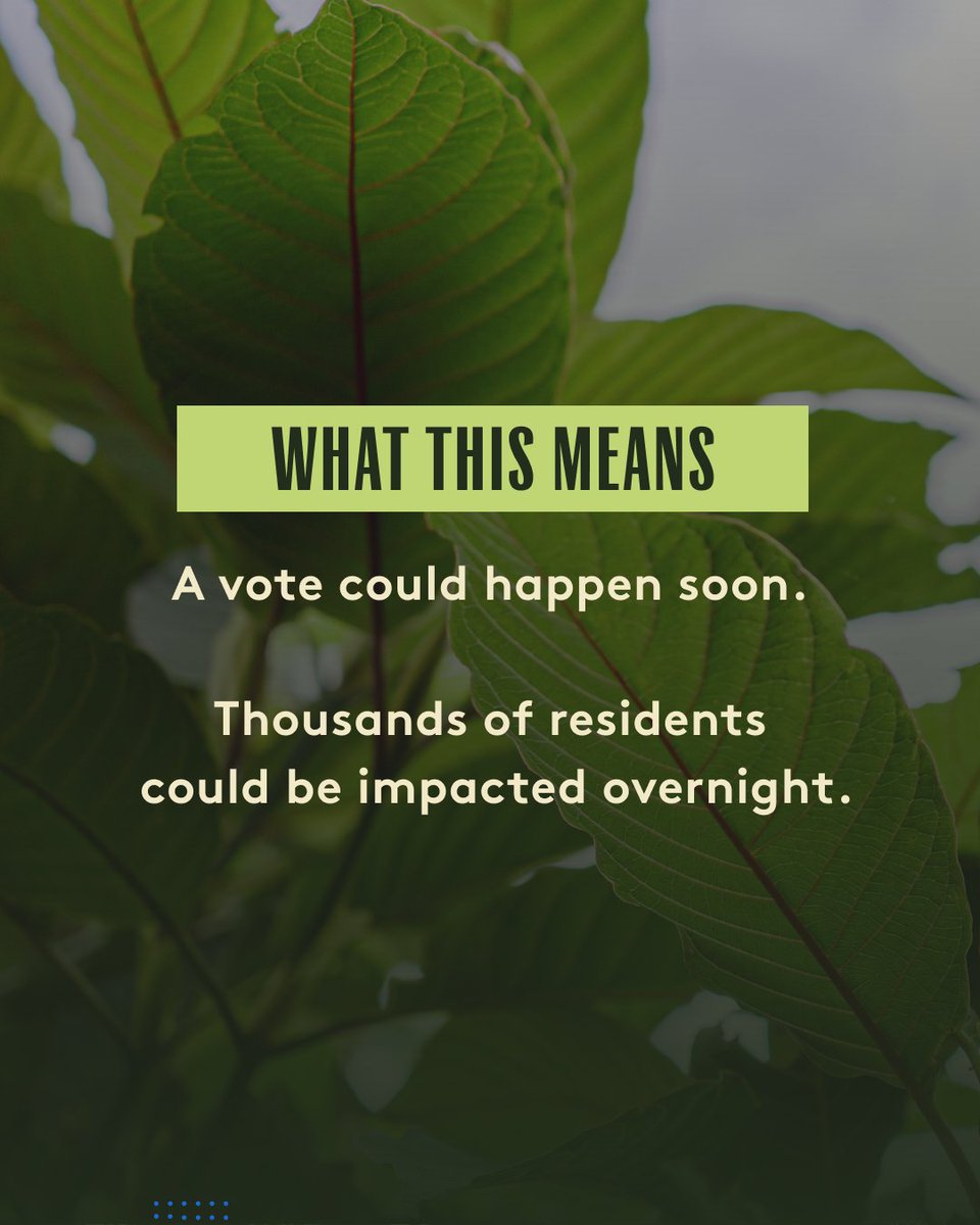 Super Speciosa tweet media