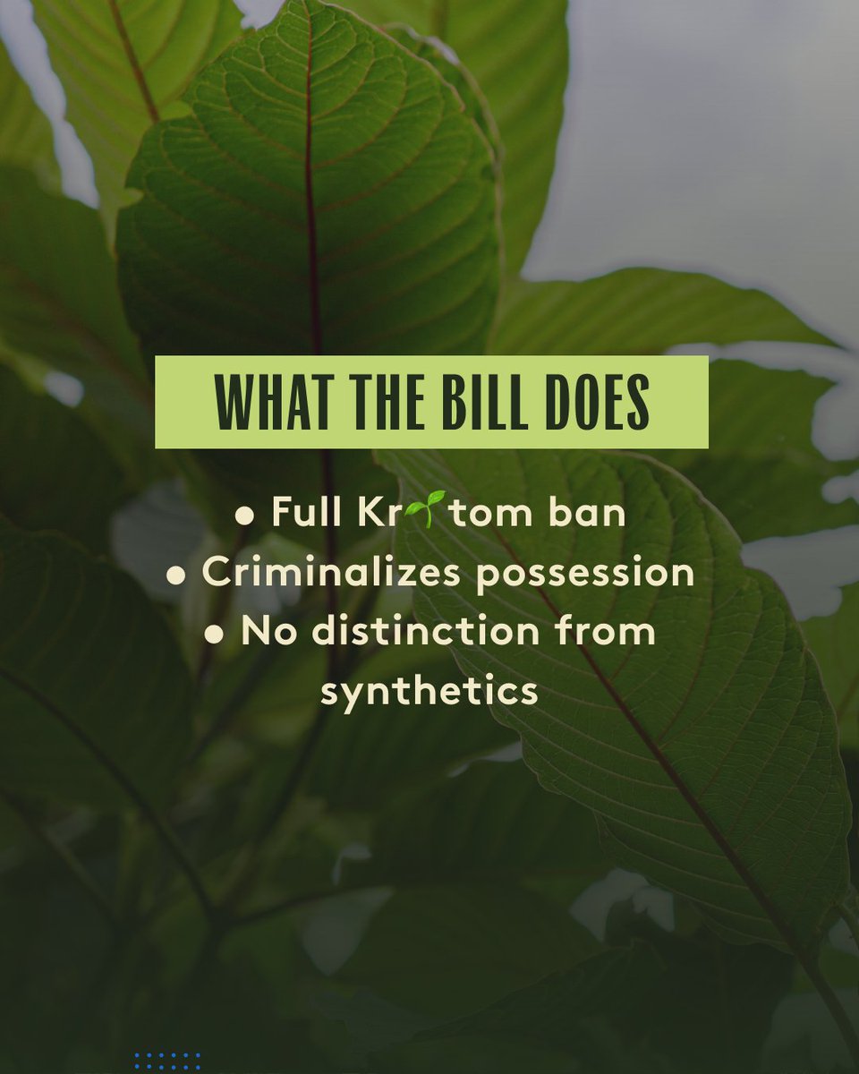 Super Speciosa tweet media