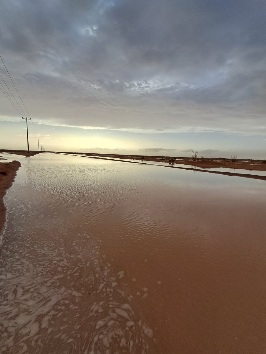 البرق⚡️ tweet media