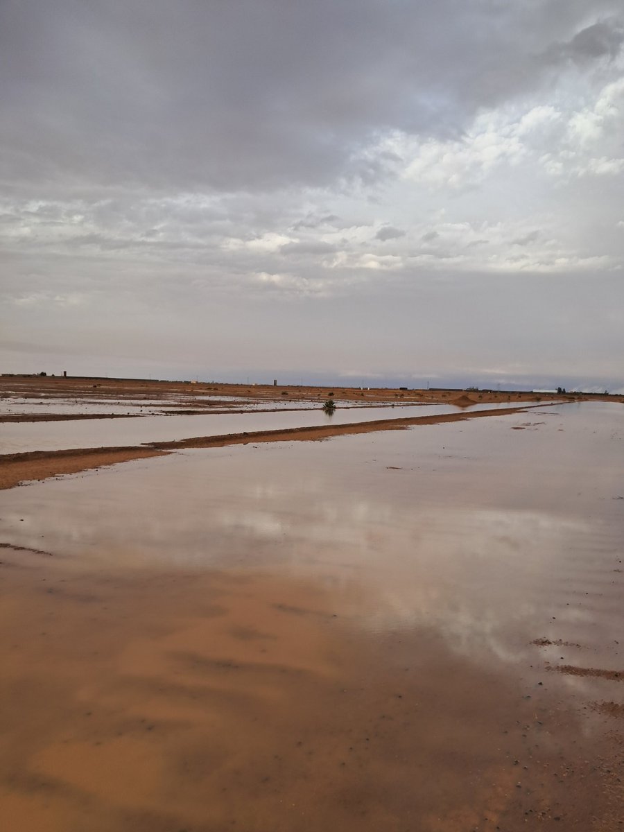 البرق⚡️ tweet media