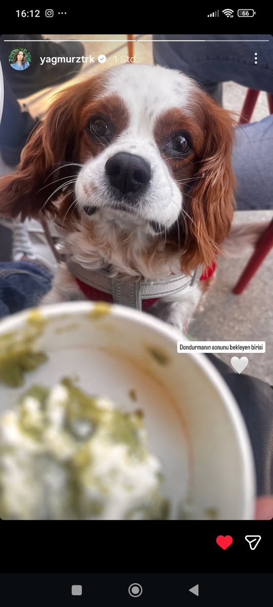 Emel 💐 (FA) tweet media