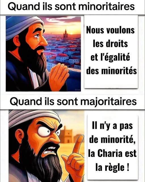 volga 🇨🇵 ⚜️Droite tweet media