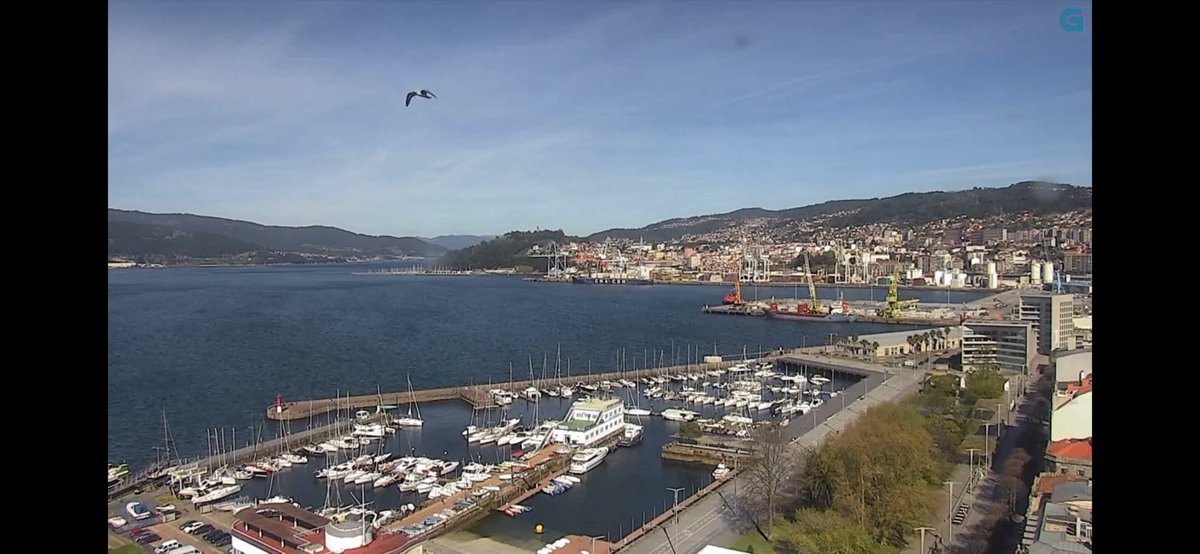 Torallamar tweet media