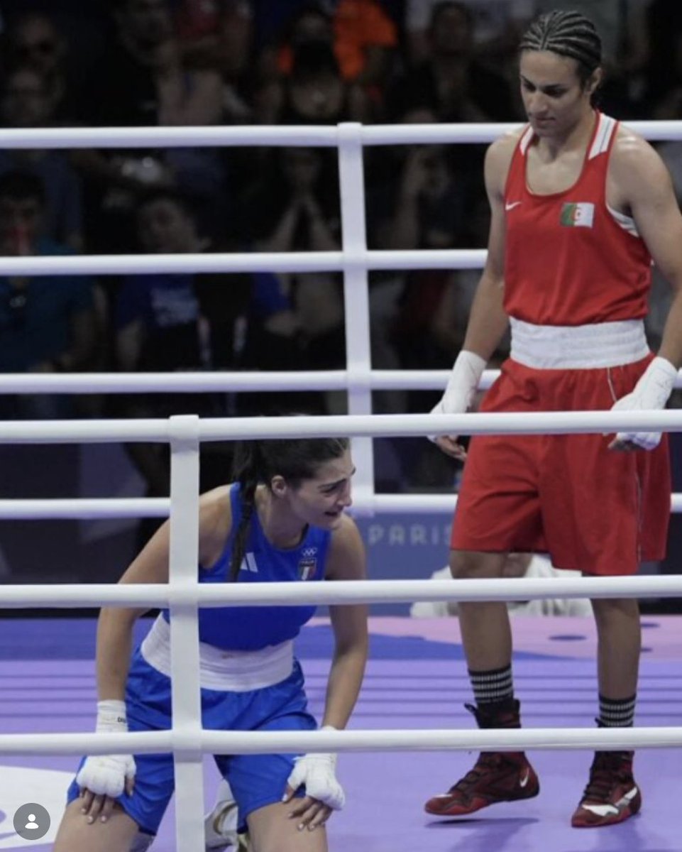 Contra El Borrado de las Mujeres tweet media