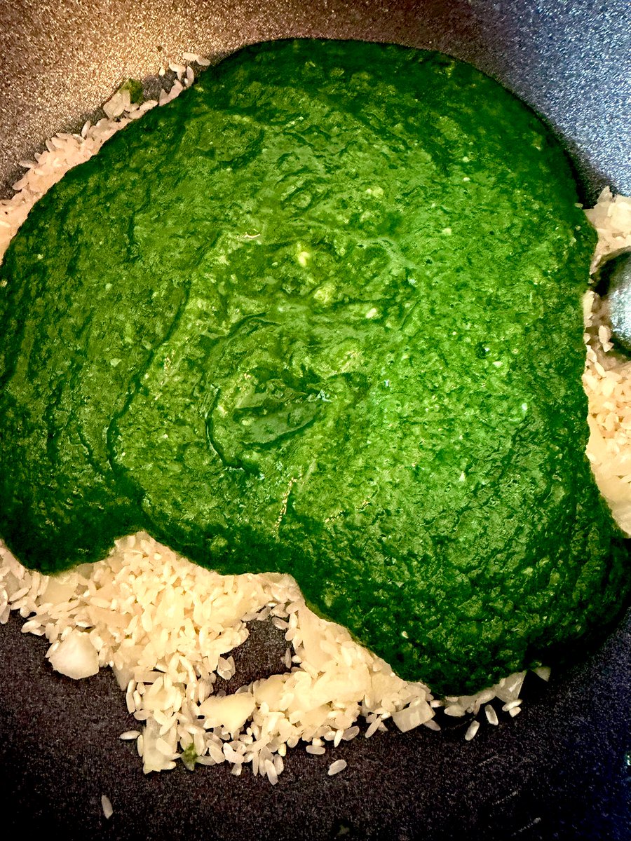 ⭕️ Talija tweet media