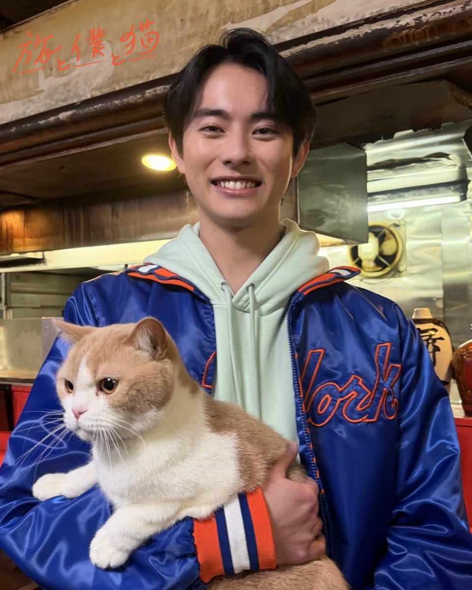 ドラマ『旅と僕と猫』【テレ東公式】🐈 tweet media