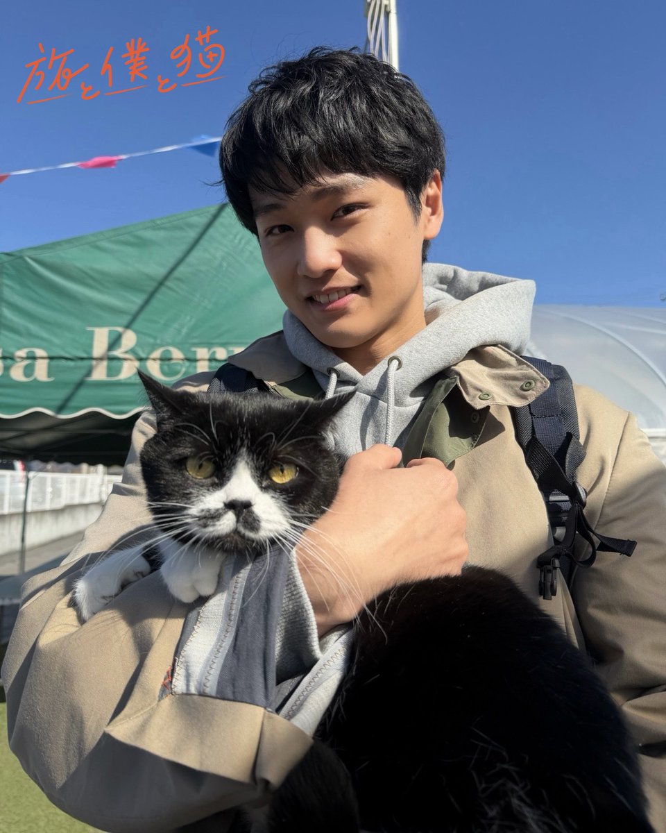 ドラマ『旅と僕と猫』【テレ東公式】🐈 tweet media