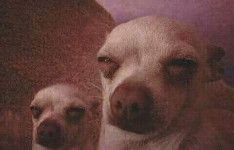 حمد؟ tweet media