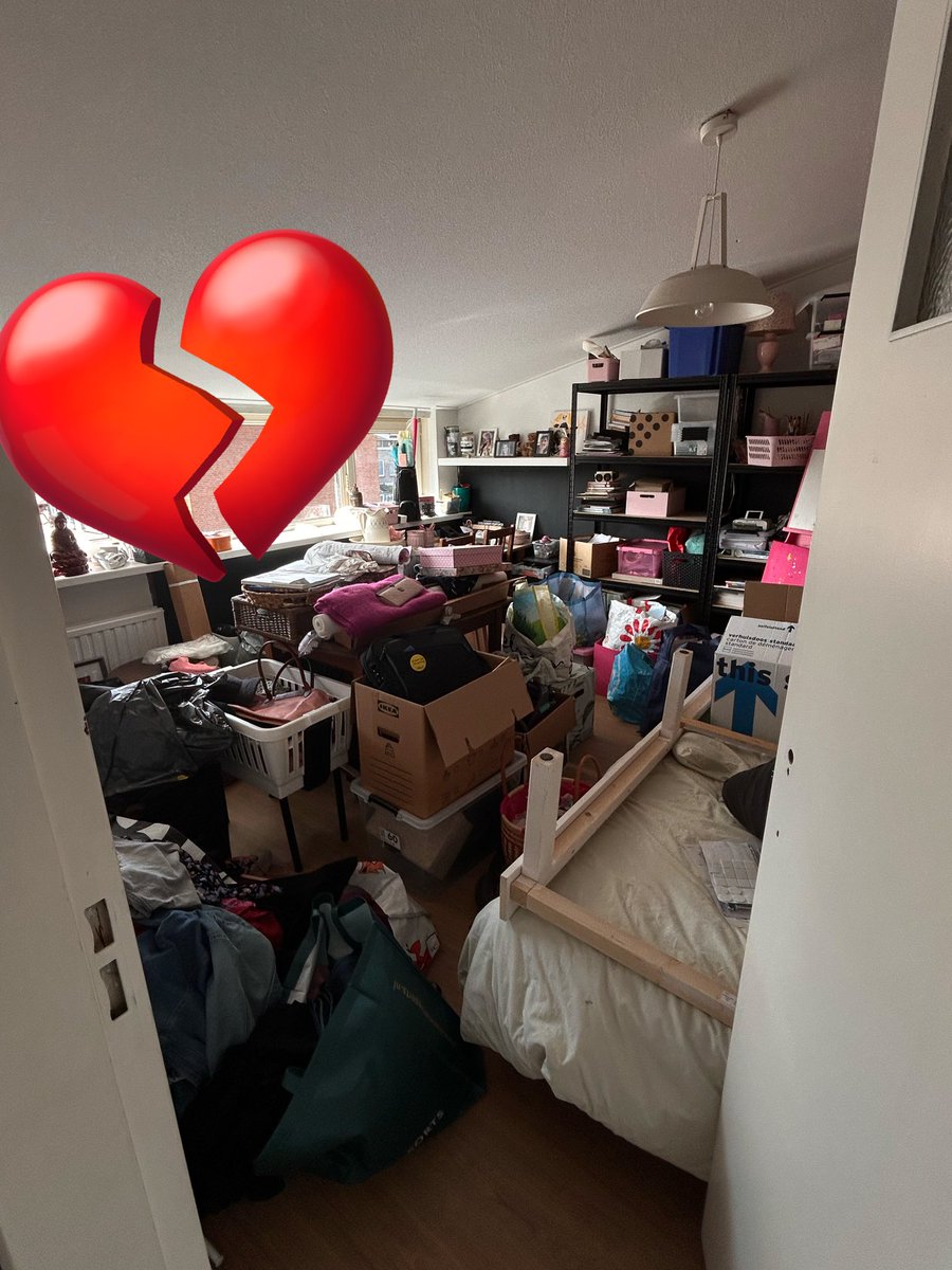 Machteld🐄 tweet media