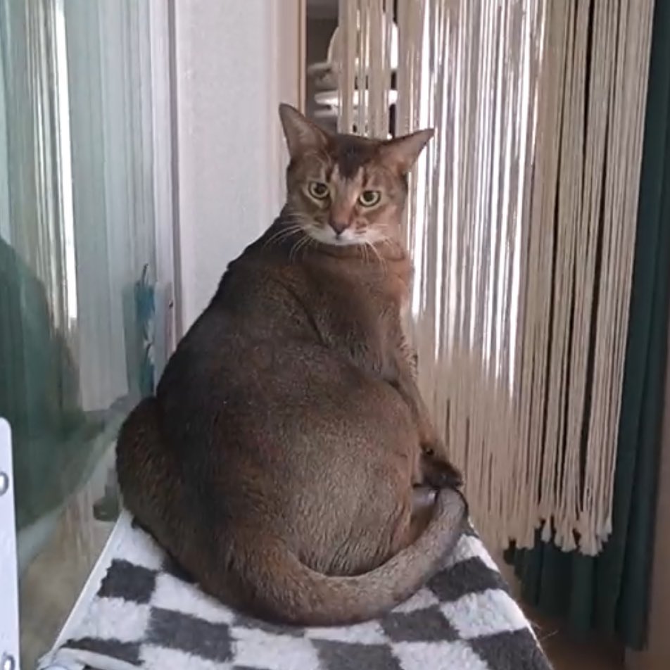 slow มอมอล์ ➫ SO10³ ⁿᴱʷᶜᵒᵐᵖ tweet media