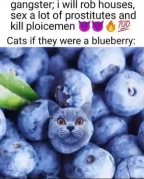 brainrot dimension tweet media