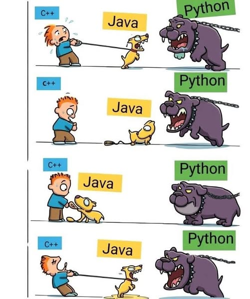 Python Developer tweet media