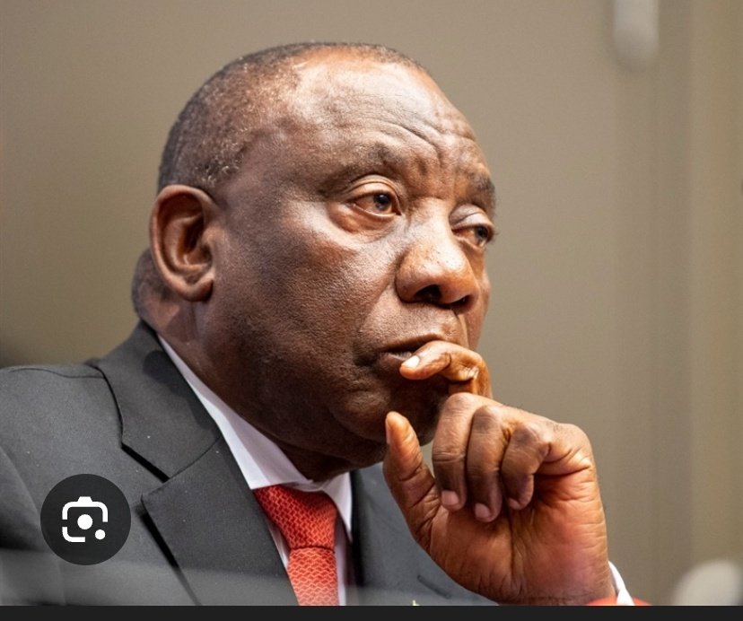 MDN NEWS tweet media